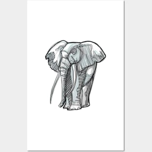 Elephant digital hand drawn illustration Posters and Art